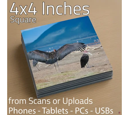 Square Photo Prints 4 x 4 (Hassle Free)