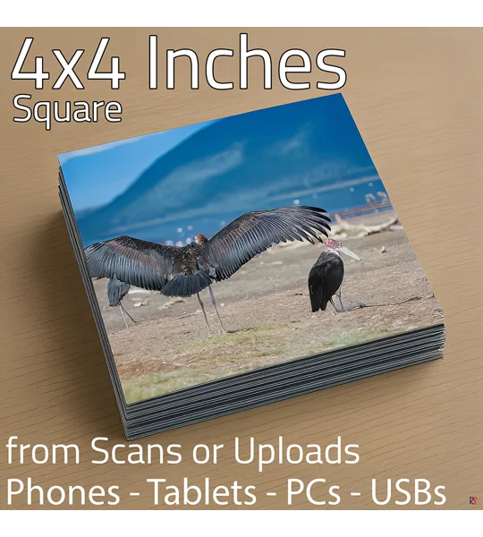 Square Photo Prints 4 x 4 (Hassle Free)
