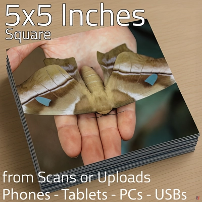 Square Photo Prints 5 x 5 (Hassle Free) Square Photo Prints 5 x 5 (Hassle Free)