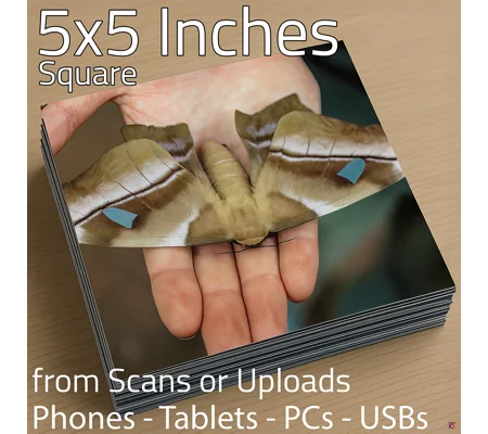 Square Photo Prints 5 x 5 (Hassle Free)