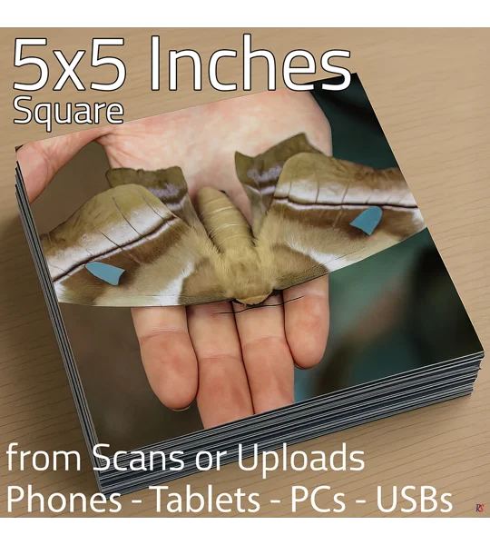 Square Photo Prints 5 x 5 (Hassle Free)