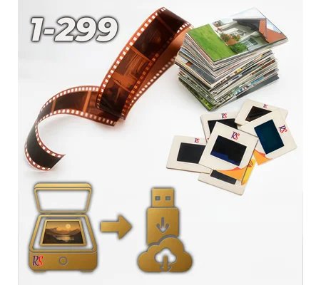 Budget Scanning (1-299)