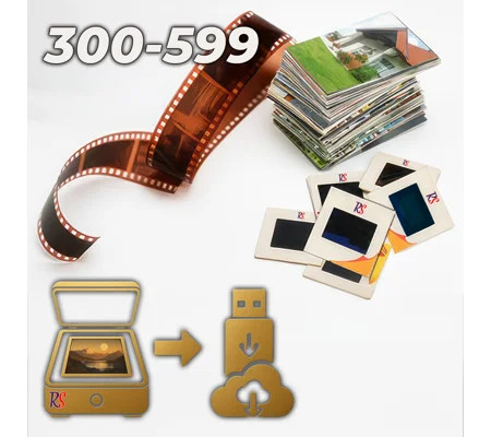 Budget Scanning (300-599)
