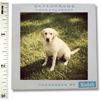 Medium Format Slide Scanning