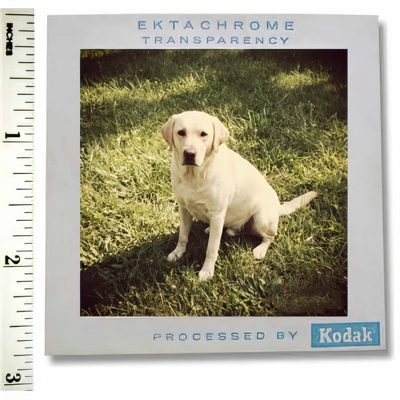 Medium Format Slide Scanning