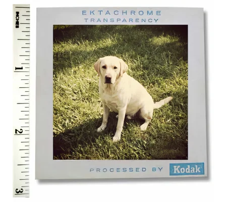 Medium Format Slide Scanning