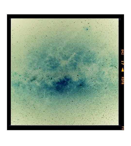 Medium Format Negative Scanning