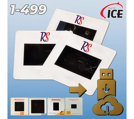 Slide Scanning Service (1-499)