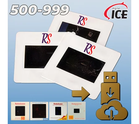 Slide Scanning Service (500-999)