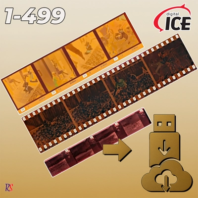 Negative Scanning (1-499)