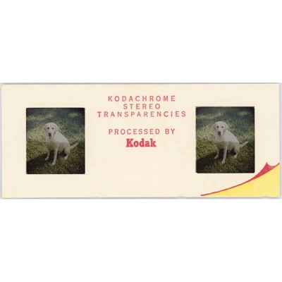 Stereo Slide Scanning - Stereoscope 3d