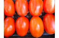 Korena’s Roma  Tomato
