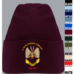 14 Intelligence Company Beanie
