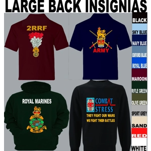 Queens Lancashire Regiment QLR Extra Insignia's