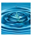 Vegetable Glycerin - VG 305ml
