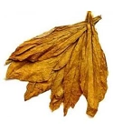 HS RY6 Premium tobacco