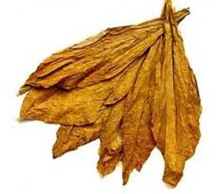 HS RY6 Premium tobacco