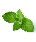 Menthol USA 10ml