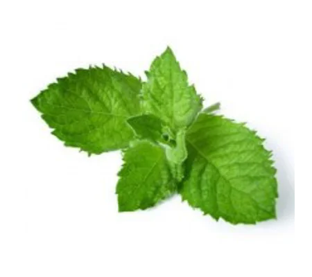 Menthol USA 10ml