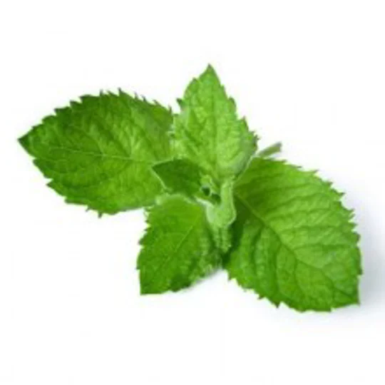 Menthol USA 10ml