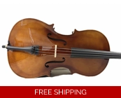 Woodnote Spruce Top/Maple Back Cello with Carbon..
