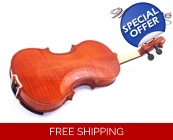 Woodnote VB-290 Flamed Violin with Free Extra St..