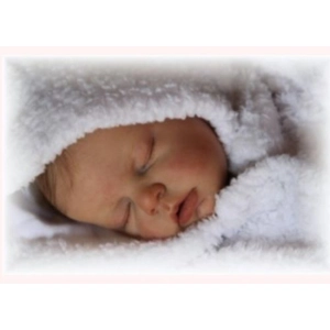 Custom Made Reborn From Noah Kit