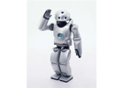 Roy the Robot