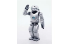 Roy the Robot