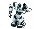 Robot - Ronnie