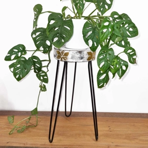 Albasia Wood Plant Stand - Whitewashed