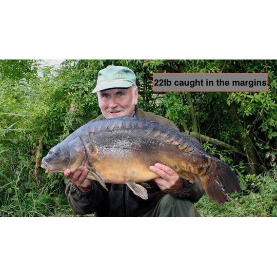 Carp margin dart Feather inlay