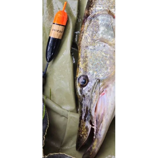 Pike slider (American)