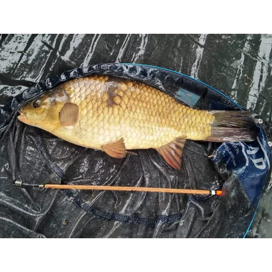 Waggler - Balsa