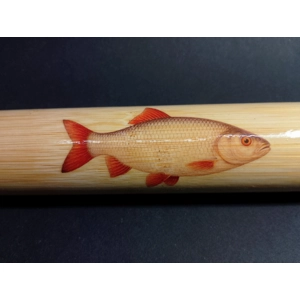 Bamboo Fishing Float Storage Tube with Fish Illustration – Ian Lewis