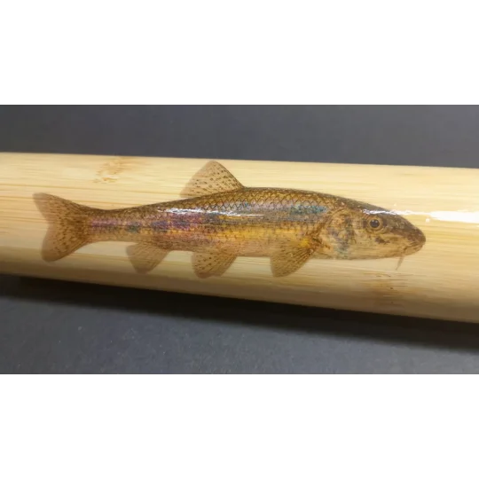 Bamboo Fishing Float Storage Tube with Fish Illustrations – Ian Lewis