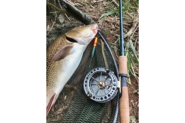 Learn about Stick floats