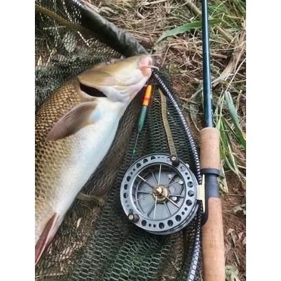 Learn about Stick floats