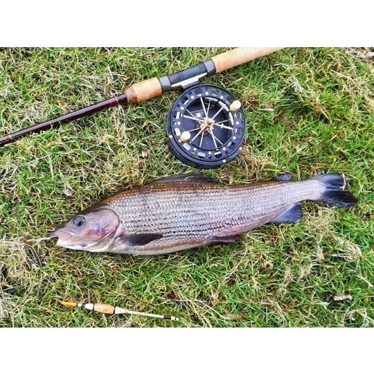Grayling caught using a handmade Signature Avon river fishing float.