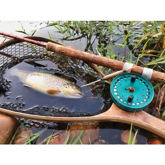 River trout in landing net with Avon float fishing setup and traditional tackle