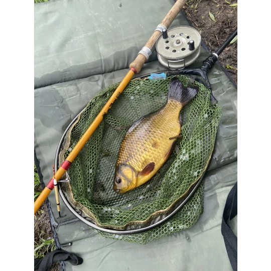 Traditional crucian carp caught on a sensitive handmade lift method float