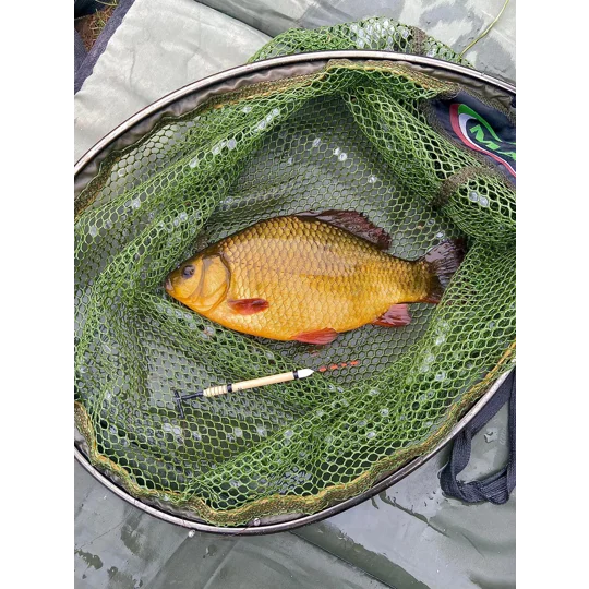 Crucian carp beside a fine bristle tipped handmade fishing float