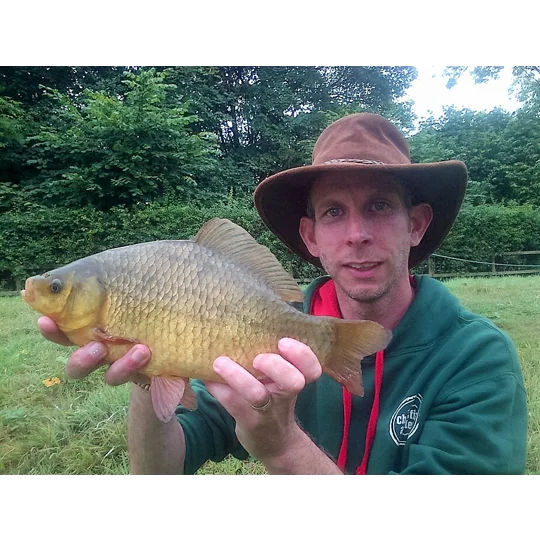 Large Crucian carp caught float fishing with traditional handmade tackle
