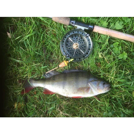 Perch bob cork