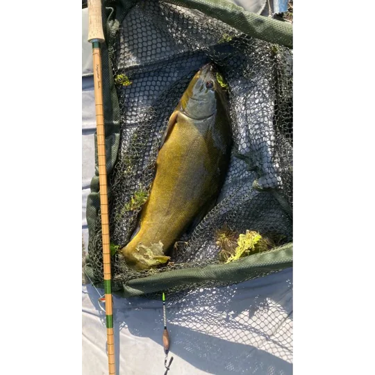 Tench caught using a 4BB handmade Ducker float beside a traditional split-cane coarse fishing rod