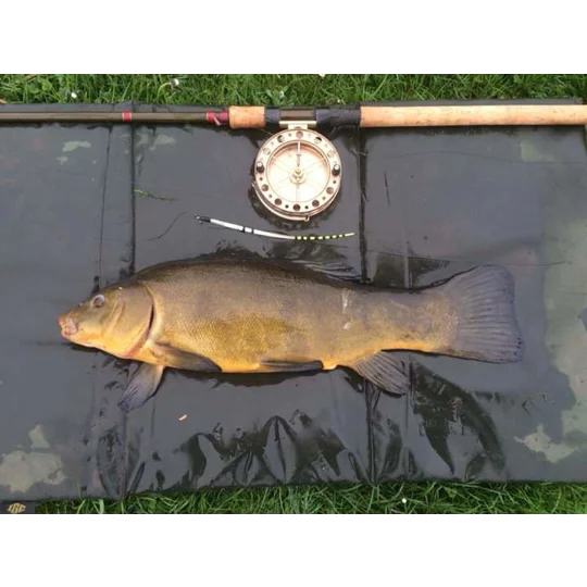 Quill tench lifter