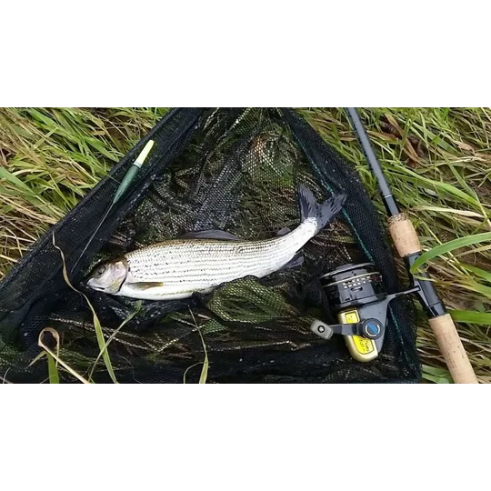 Grayling caught on a handcrafted balsa and wire stem float during river trotting