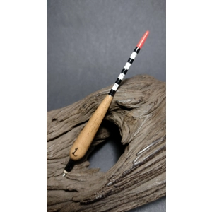 Carp margin dart