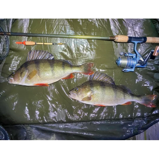 Perch bob inline slider