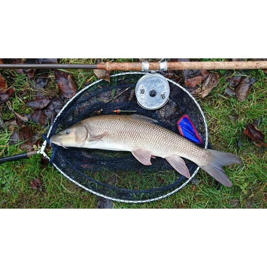 Harcork style perch/grayling bob